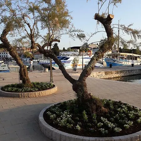 بيت ضيافة Bogdan Apartman